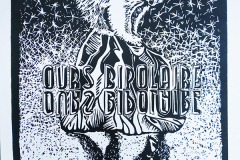ours-bipolaire