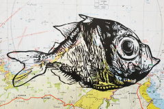 poisson-bulle